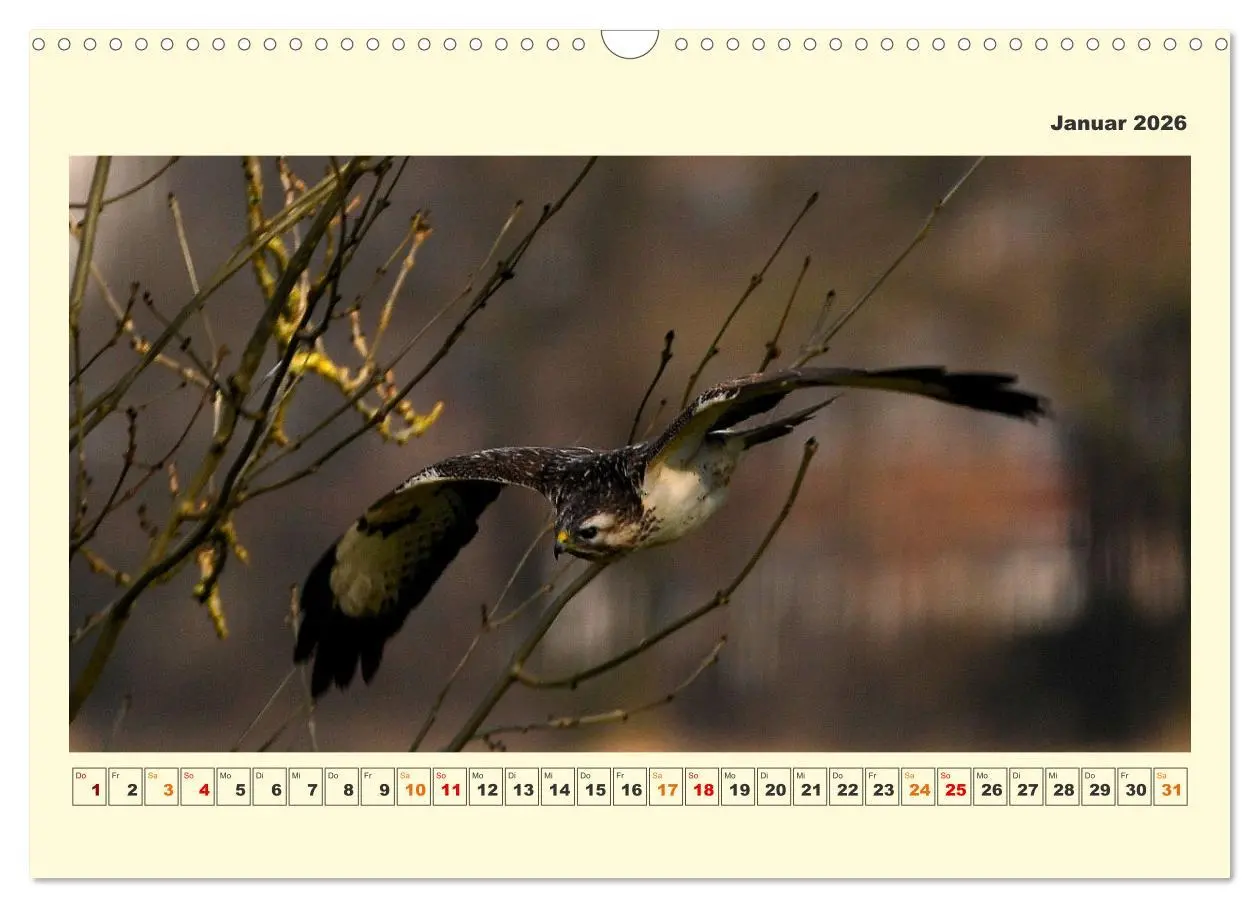 Bild: 9783457570043 | Tierwelt der Wümmeniederung (Wandkalender 2026 DIN A3 quer),...