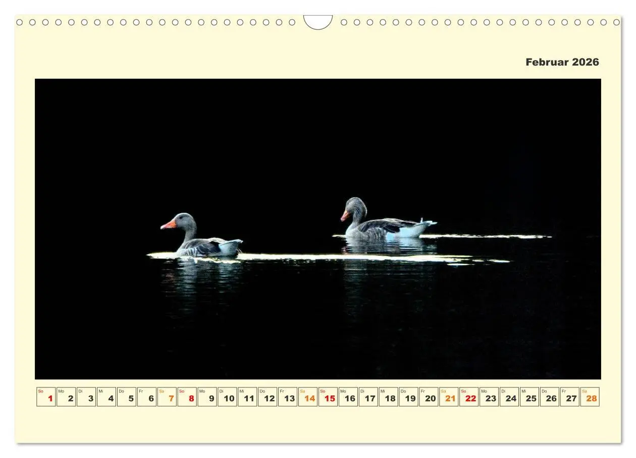Bild: 9783457570043 | Tierwelt der Wümmeniederung (Wandkalender 2026 DIN A3 quer),...
