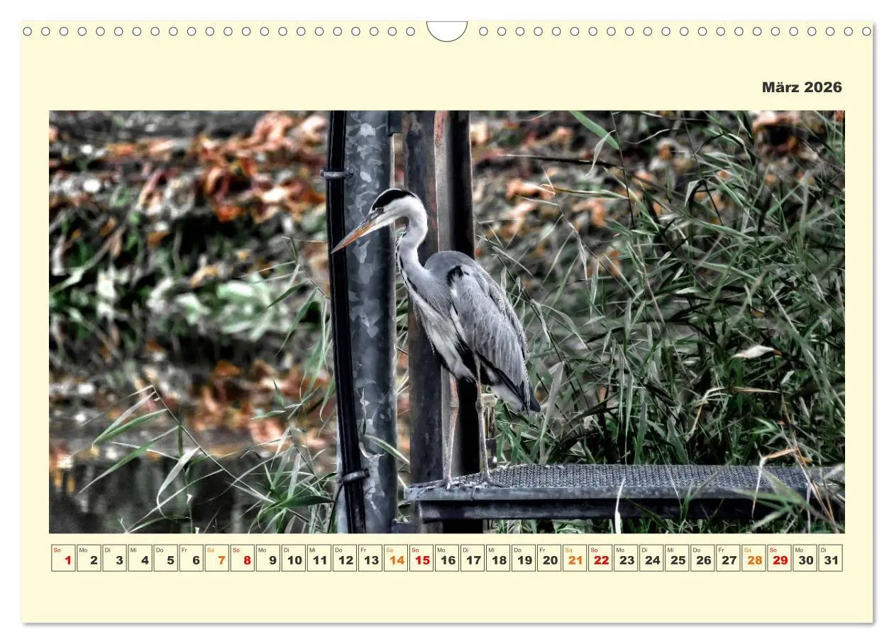 Bild: 9783457570043 | Tierwelt der Wümmeniederung (Wandkalender 2026 DIN A3 quer),...