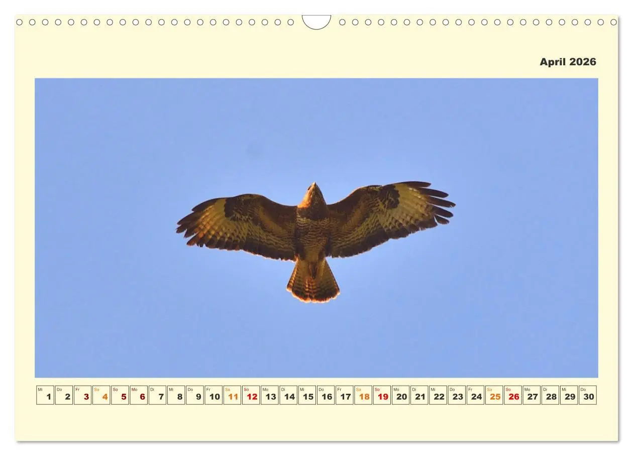 Bild: 9783457570043 | Tierwelt der Wümmeniederung (Wandkalender 2026 DIN A3 quer),...