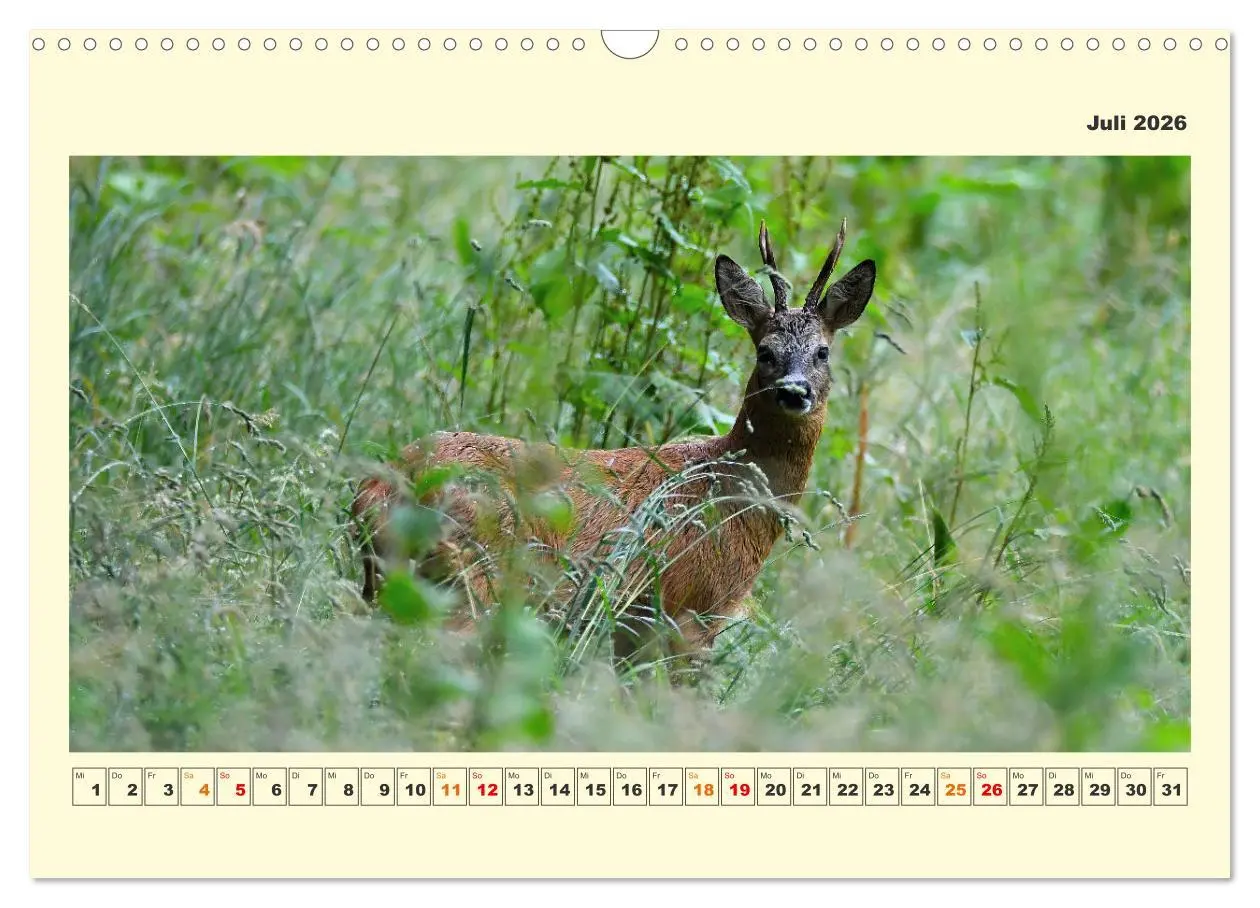 Bild: 9783457570043 | Tierwelt der Wümmeniederung (Wandkalender 2026 DIN A3 quer),...