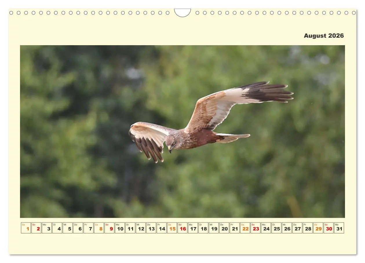 Bild: 9783457570043 | Tierwelt der Wümmeniederung (Wandkalender 2026 DIN A3 quer),...