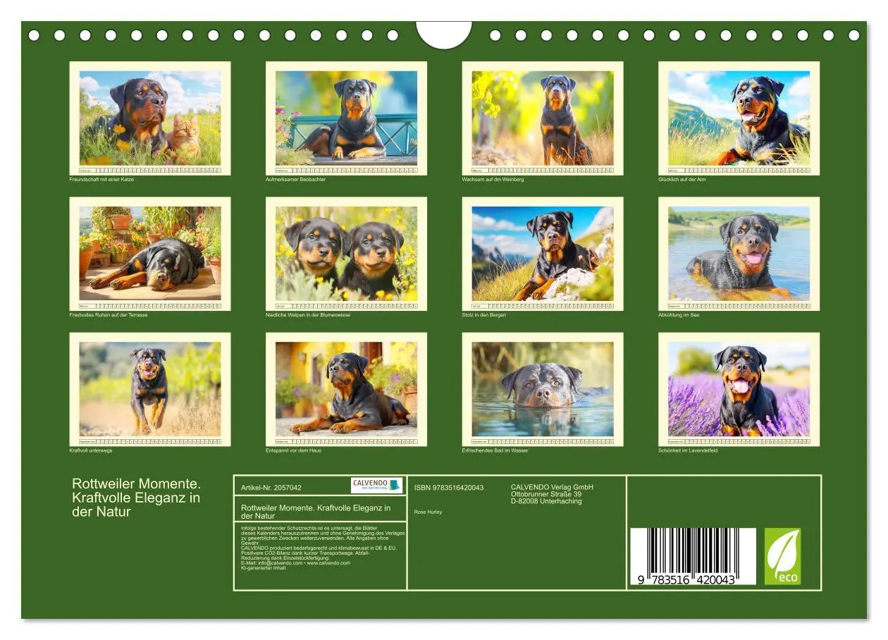 Bild: 9783516420043 | Rottweiler Momente. Kraftvolle Eleganz in der Natur (Wandkalender...