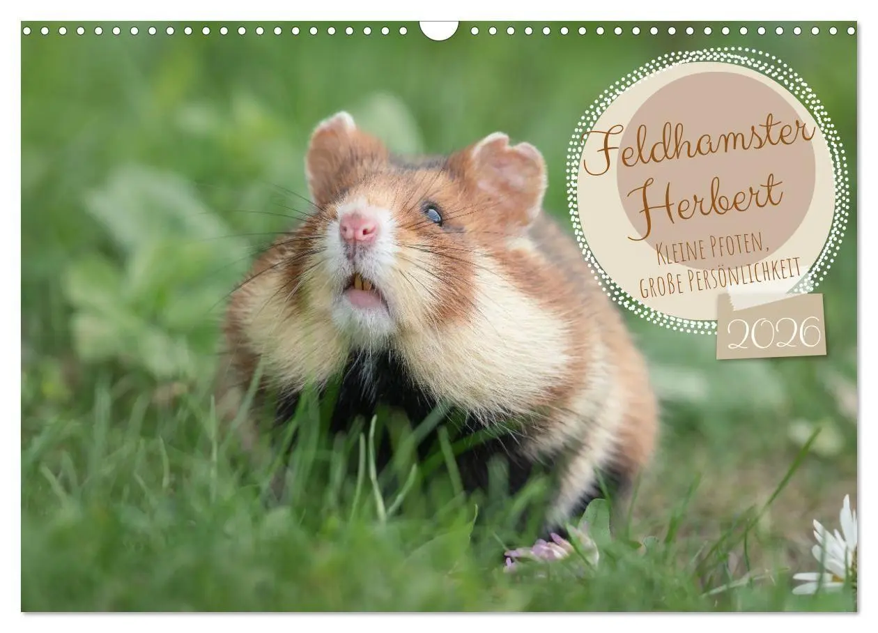Cover: 9783516730043 | Feldhamster Herbert Kleine Pfoten, große Persönlichkeit...