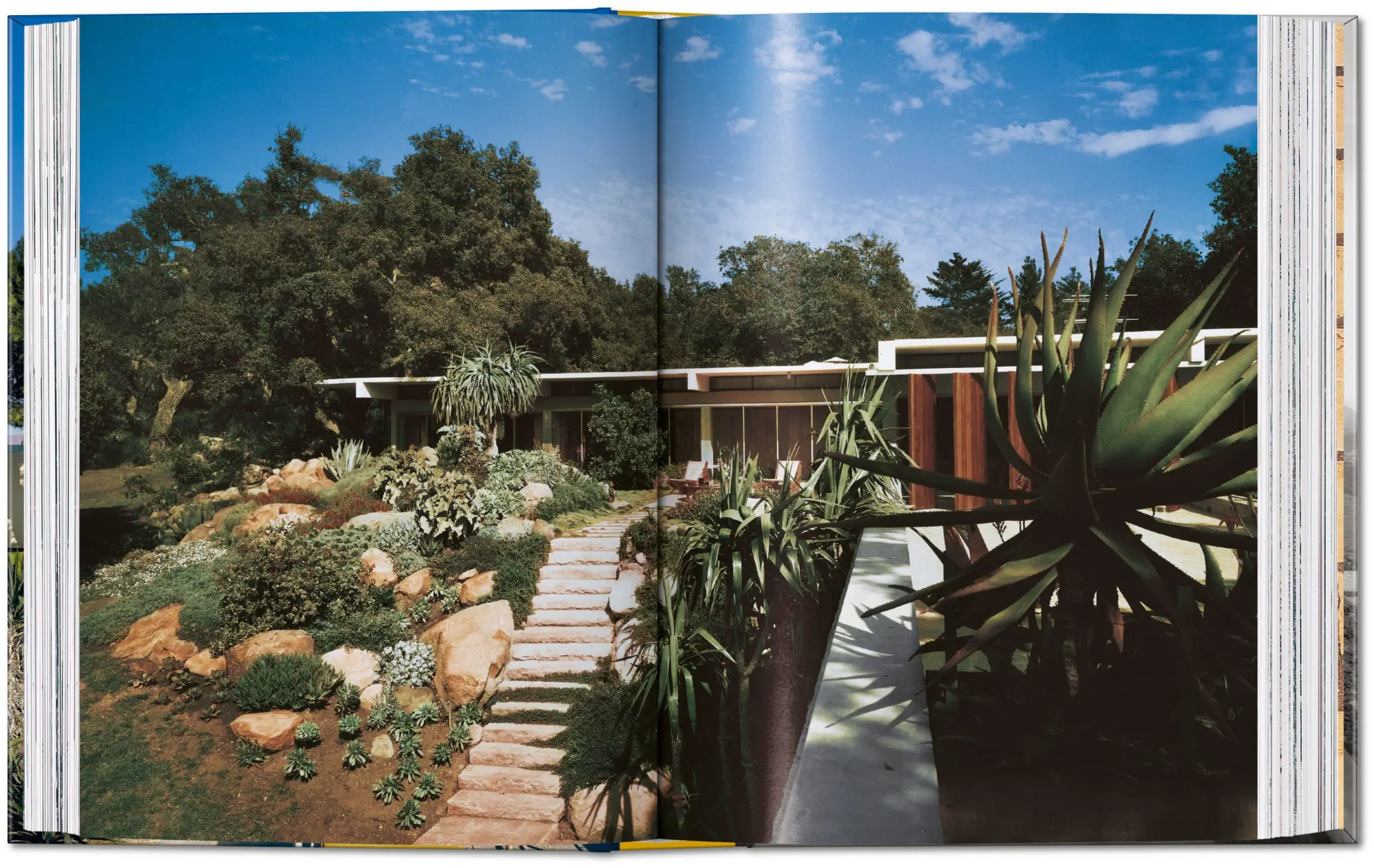 Bild: 9783754400043 | Neutra. 45th Ed. | Barbara Lamprecht | Buch | 45th Edition | Englisch