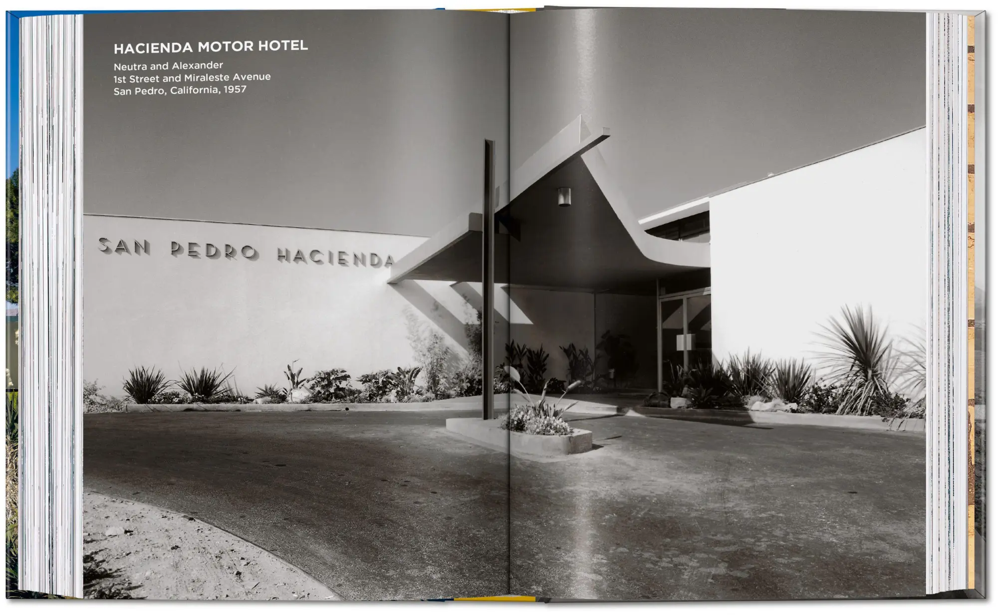 Bild: 9783754400043 | Neutra. 45th Ed. | Barbara Lamprecht | Buch | 45th Edition | Englisch