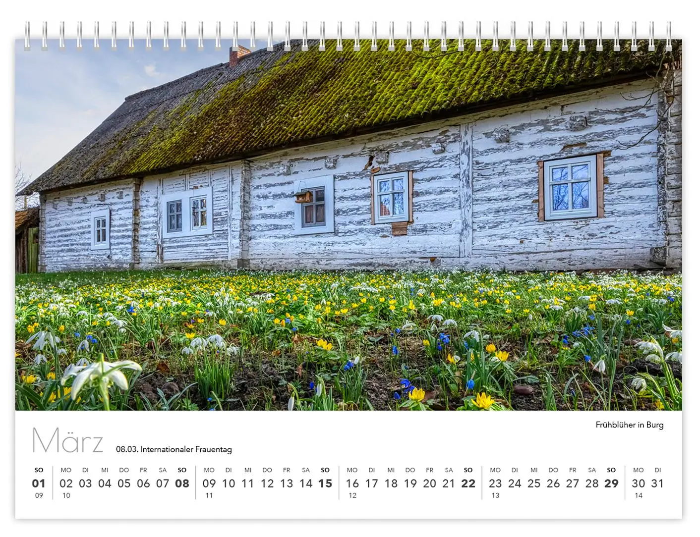 Bild: 9783910680043 | Kalender Spreewald kompakt - Peter Becker 2026 | K4 Verlag (u. a.)