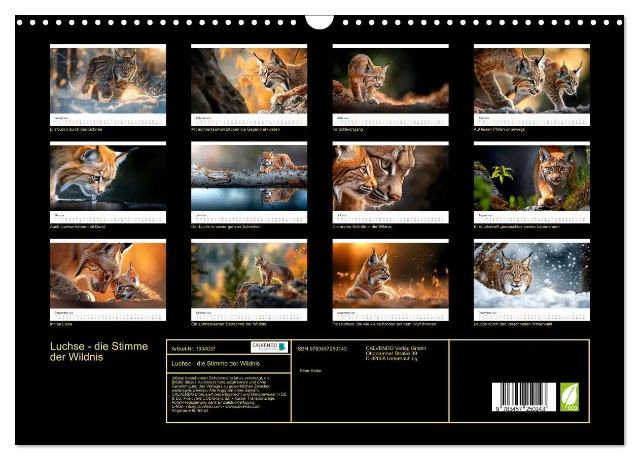 Bild: 9783457250143 | Luchse - die Stimme der Wildnis (Wandkalender 2026 DIN A3 quer),...