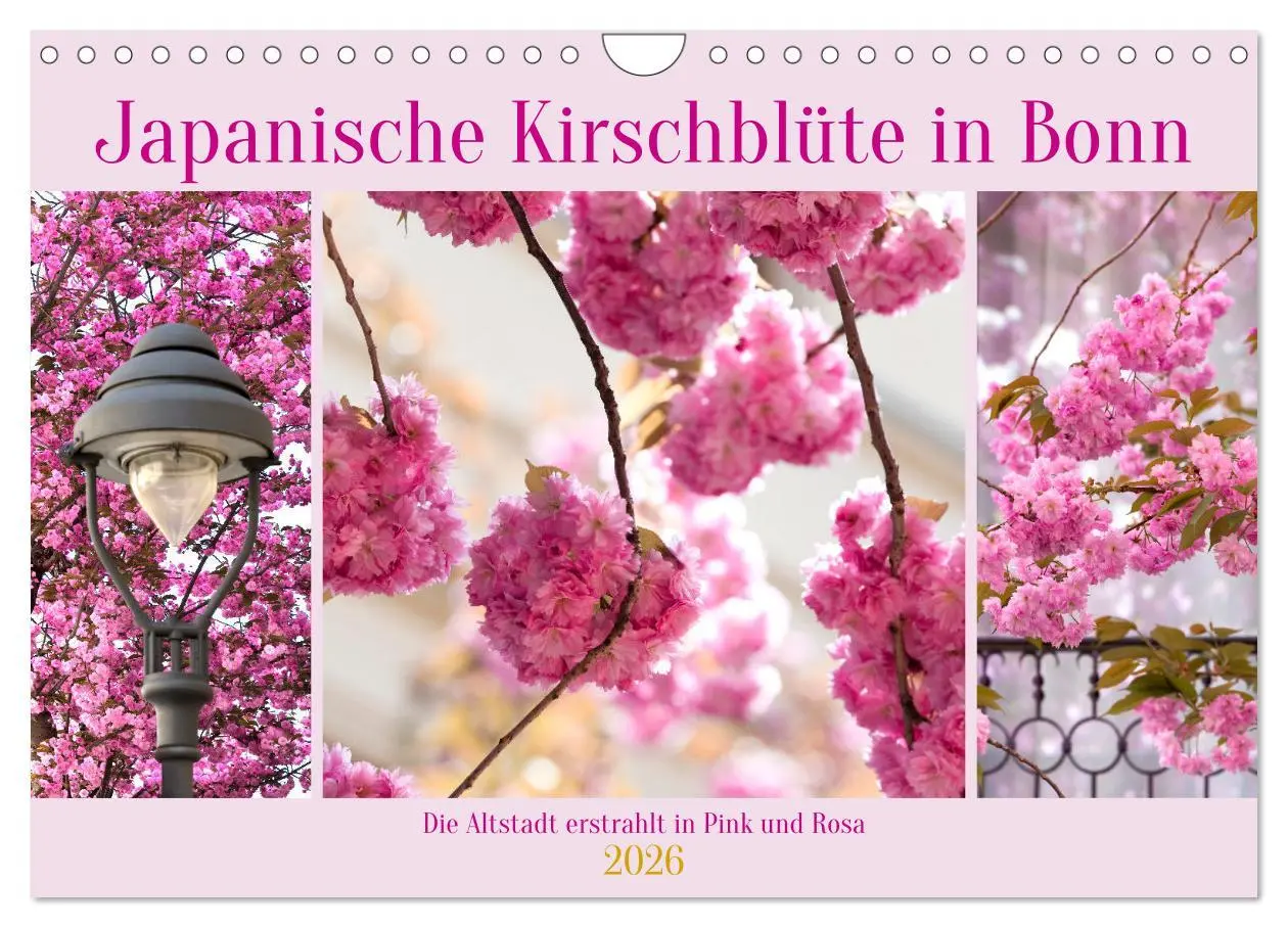 Cover: 9783457560143 | Japanische Kirschblüte in Bonn (Wandkalender 2026 DIN A4 quer),...