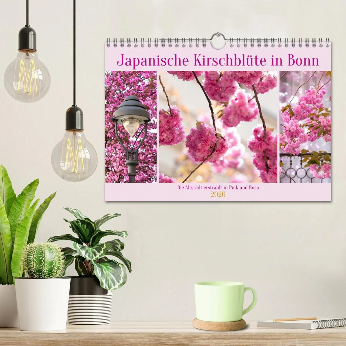 Bild: 9783457560143 | Japanische Kirschblüte in Bonn (Wandkalender 2026 DIN A4 quer),...
