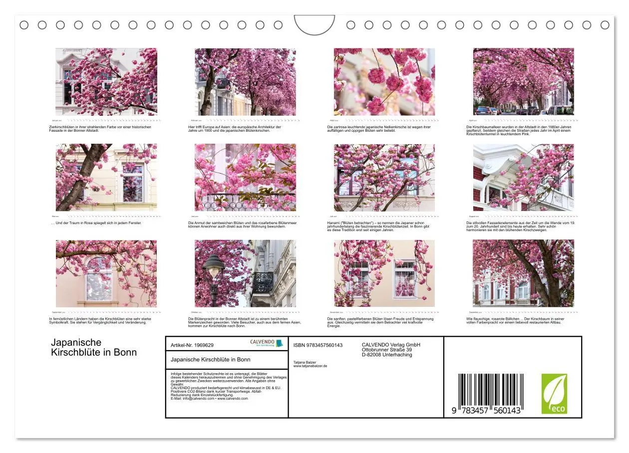 Bild: 9783457560143 | Japanische Kirschblüte in Bonn (Wandkalender 2026 DIN A4 quer),...