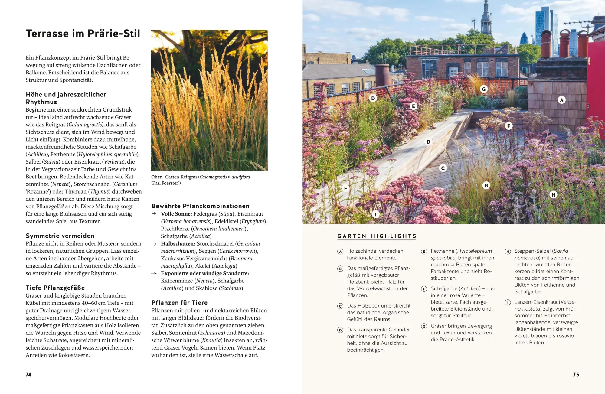 Bild: 9783758900143 | Small Garden Beauty | Folko Kullmann | Buch | GU Gartenpraxis | 216 S.