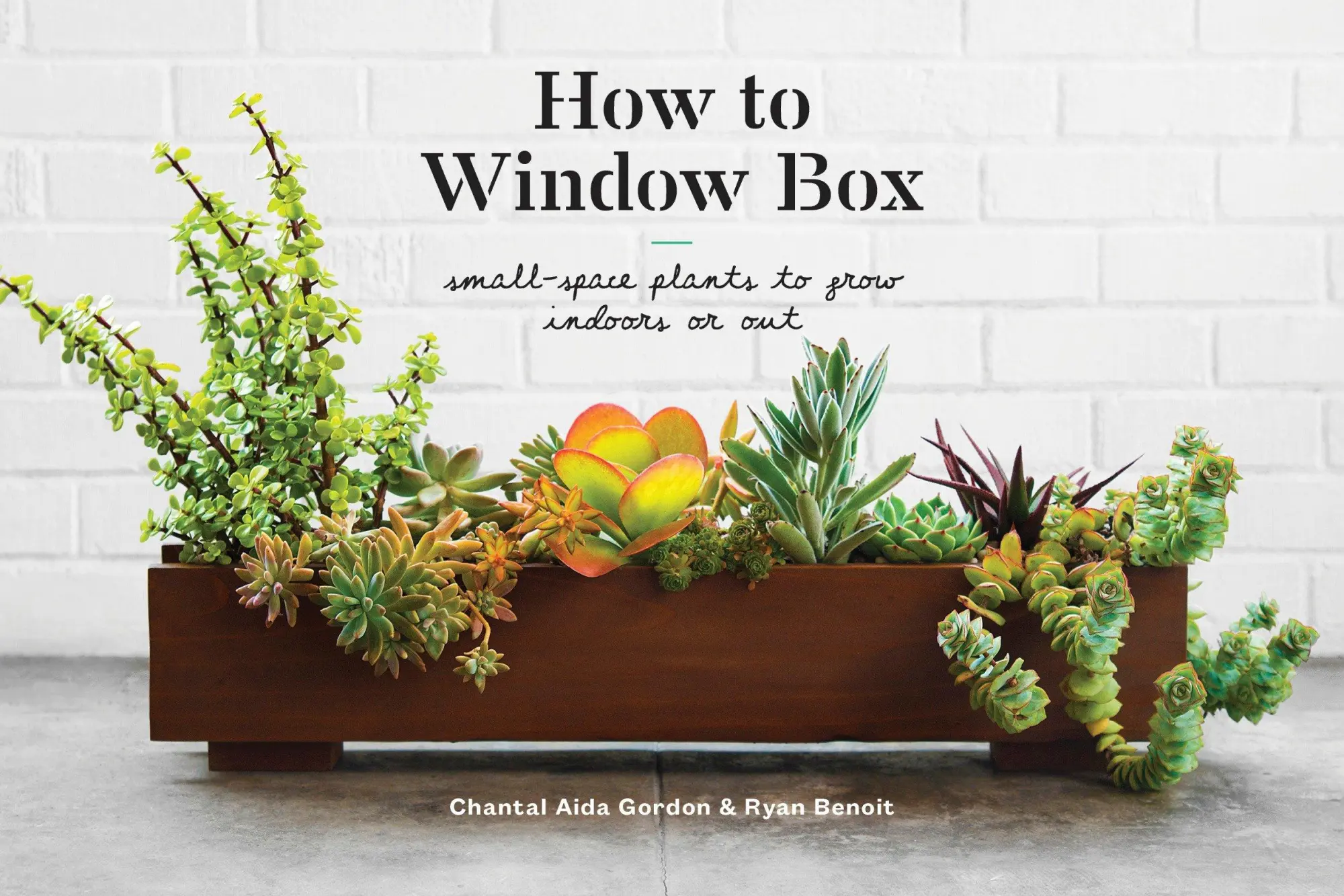 Cover: 9781524760243 | How to Window Box: Small-Space Plants to Grow Indoors or Out | Buch