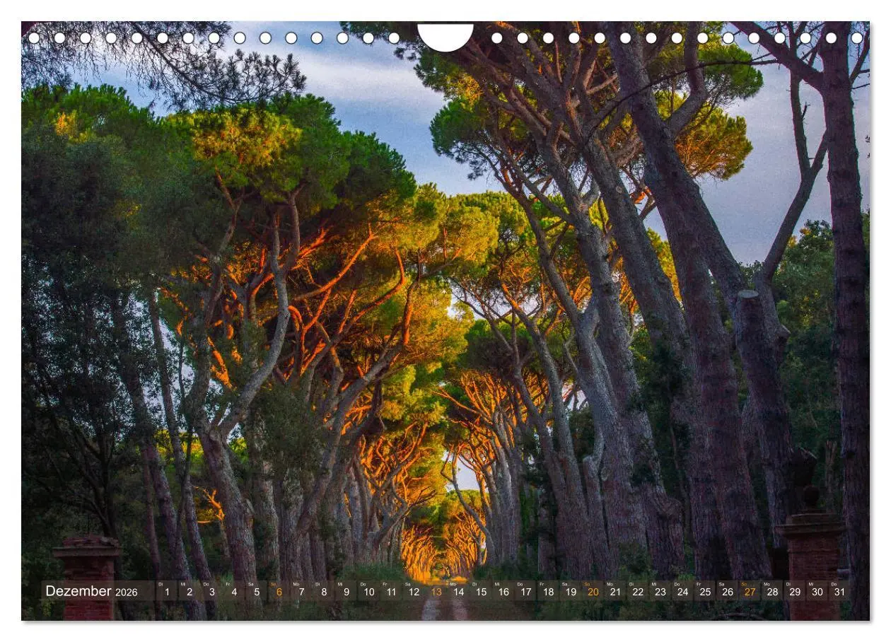 Bild: 9783457860243 | TOSKANA im magischen Licht (Wandkalender 2026 DIN A4 quer),...