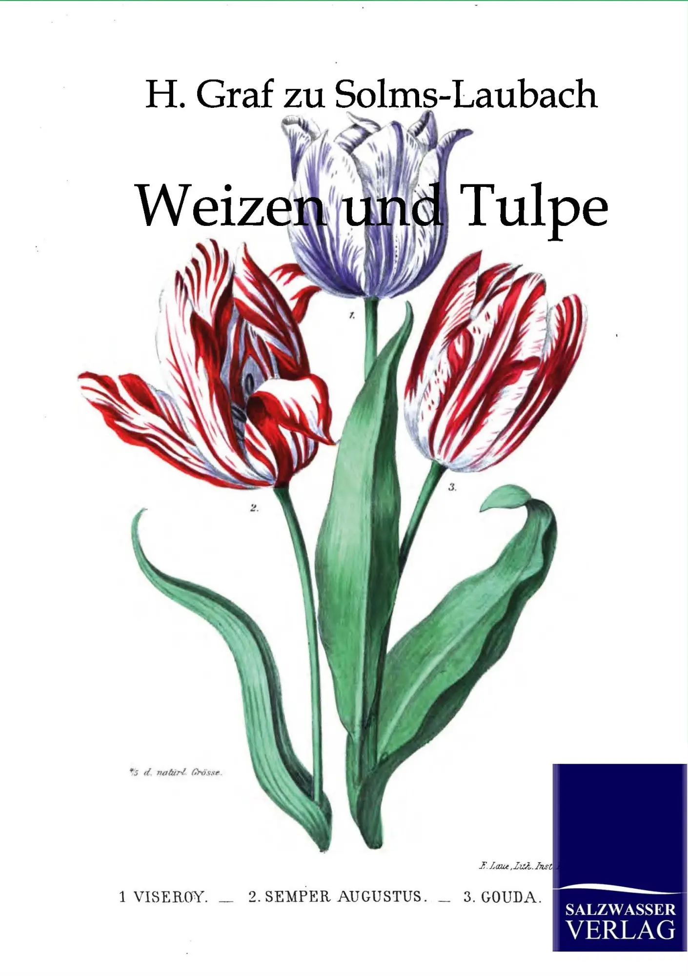 Cover: 9783864440243 | Weizen und Tulpe | H. Graf Zu Solms-Laubach | Taschenbuch | 128 S.