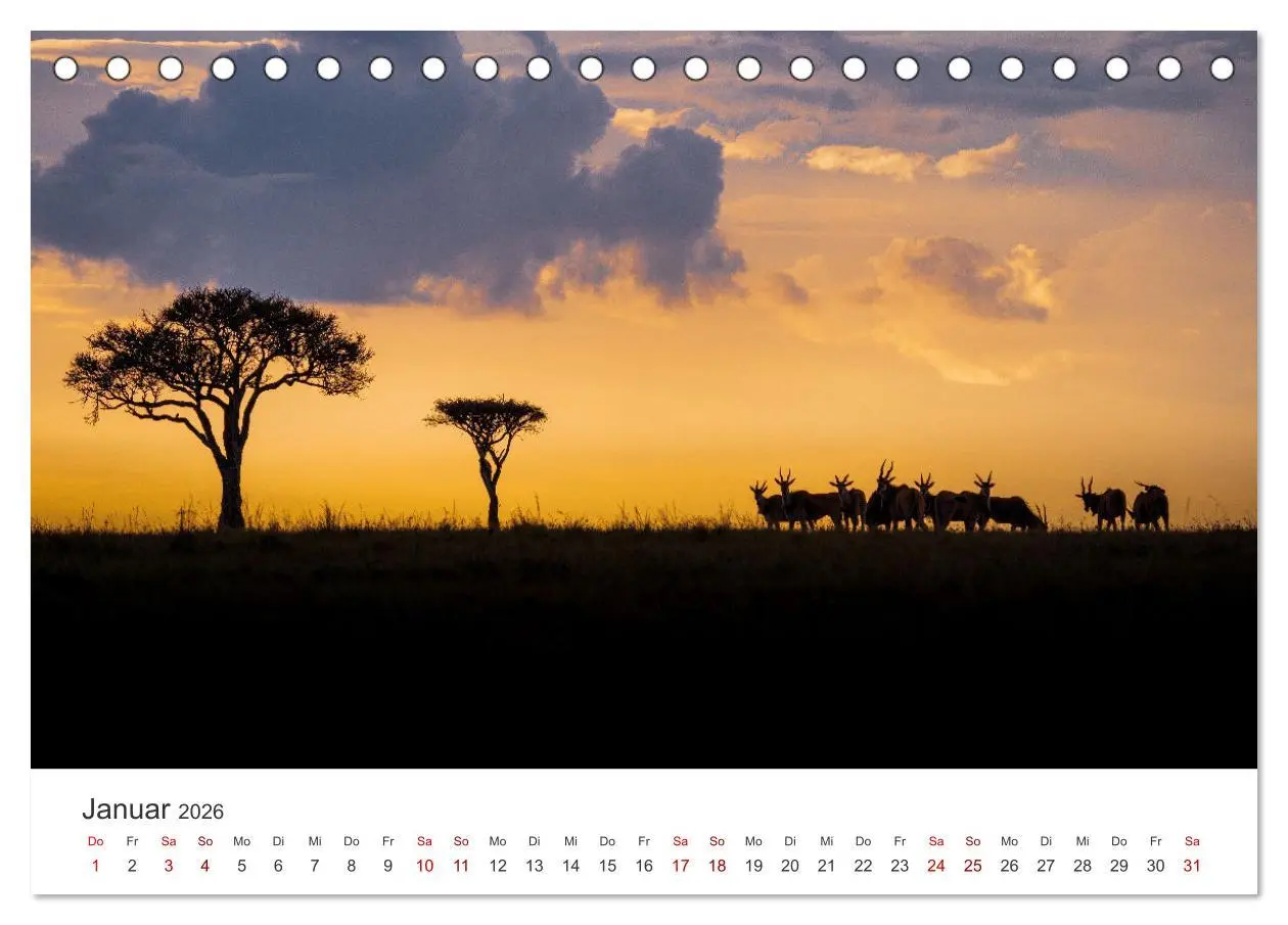 Bild: 9783457610343 | Kenia - Eine Safari durch unberührte Natur. (Tischkalender 2026 DIN...