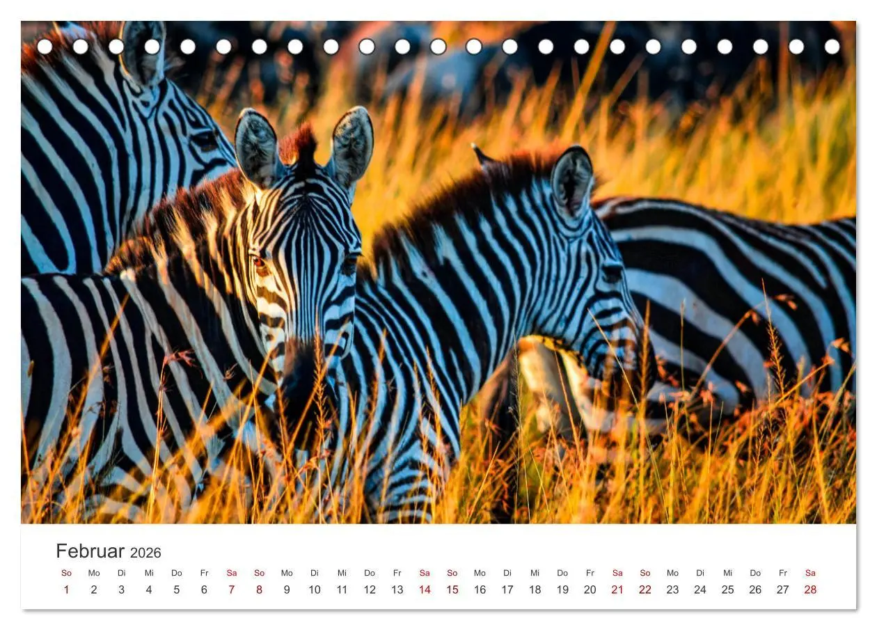 Bild: 9783457610343 | Kenia - Eine Safari durch unberührte Natur. (Tischkalender 2026 DIN...