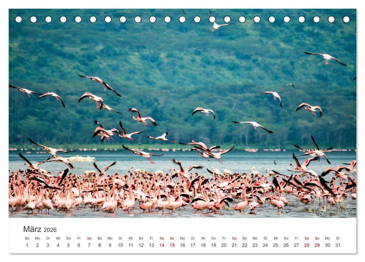 Bild: 9783457610343 | Kenia - Eine Safari durch unberührte Natur. (Tischkalender 2026 DIN...