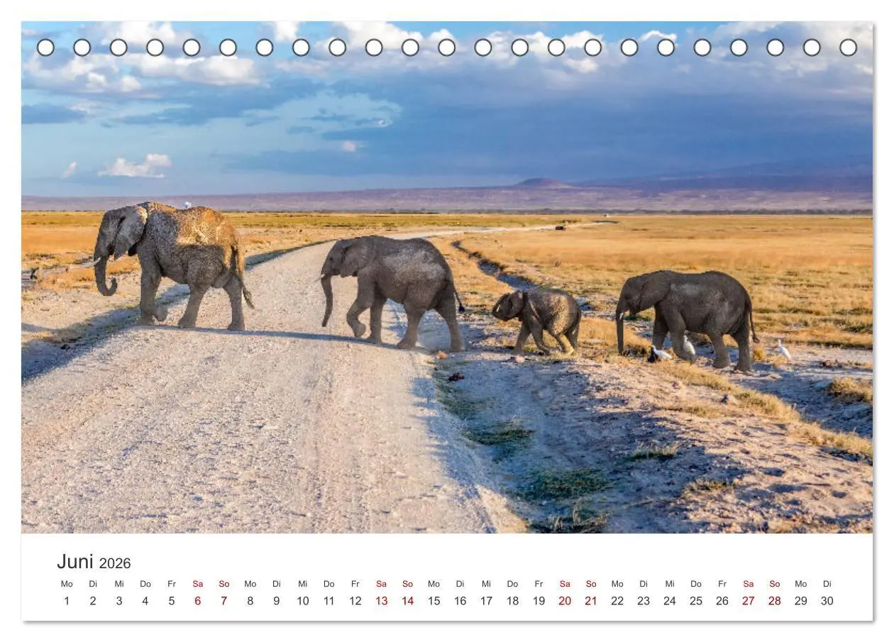 Bild: 9783457610343 | Kenia - Eine Safari durch unberührte Natur. (Tischkalender 2026 DIN...