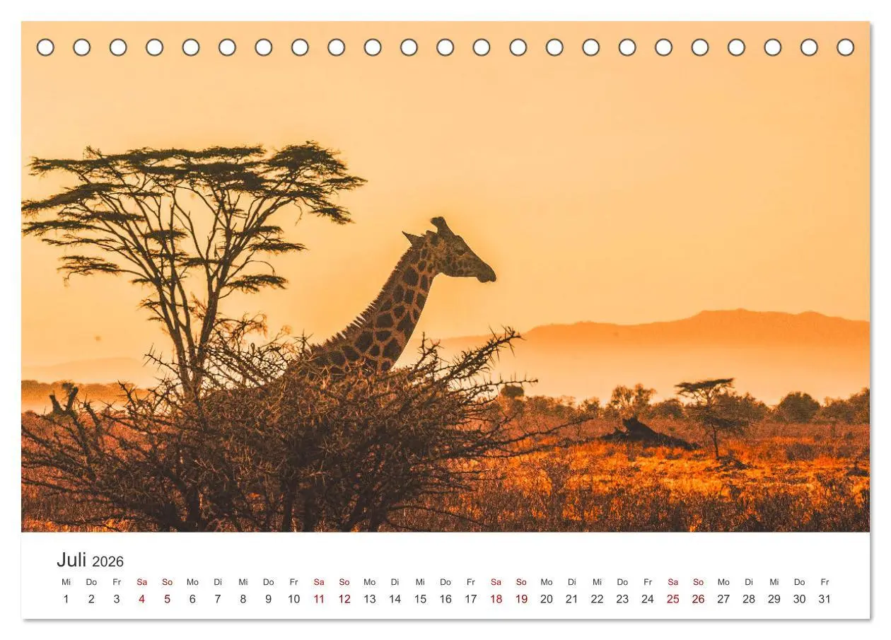 Bild: 9783457610343 | Kenia - Eine Safari durch unberührte Natur. (Tischkalender 2026 DIN...