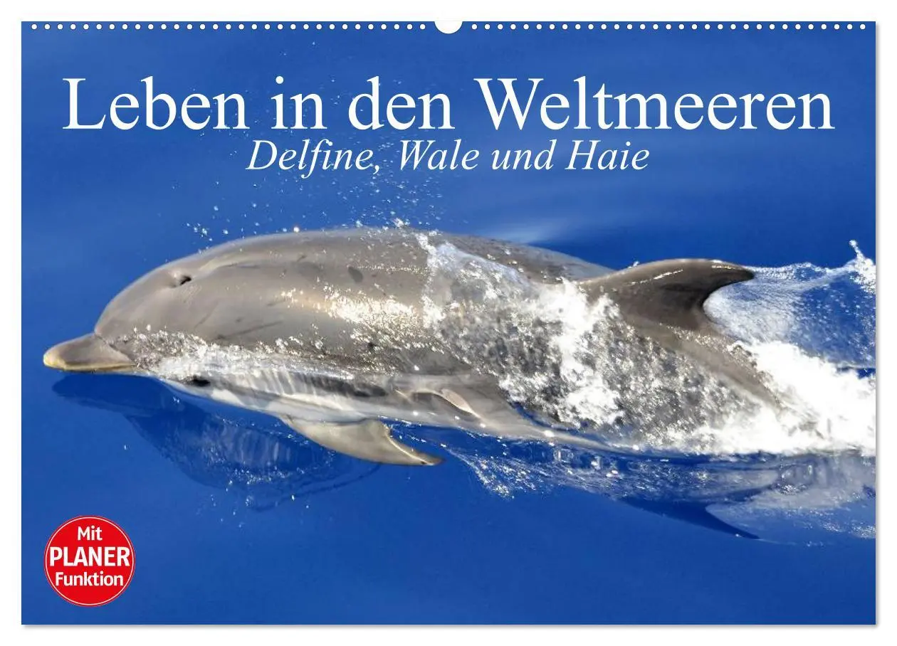 Cover: 9783516010343 | Leben in den Weltmeeren. Delfine, Wale und Haie (Wandkalender 2026...