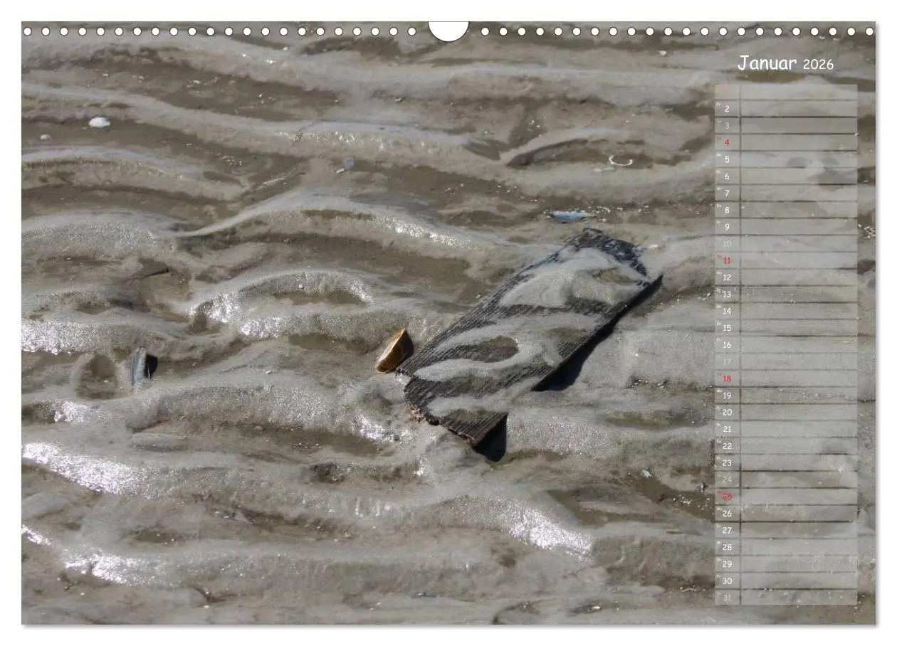 Bild: 9783516180343 | Strandspaziergang / Geburtstagskalender (Wandkalender 2026 DIN A3...