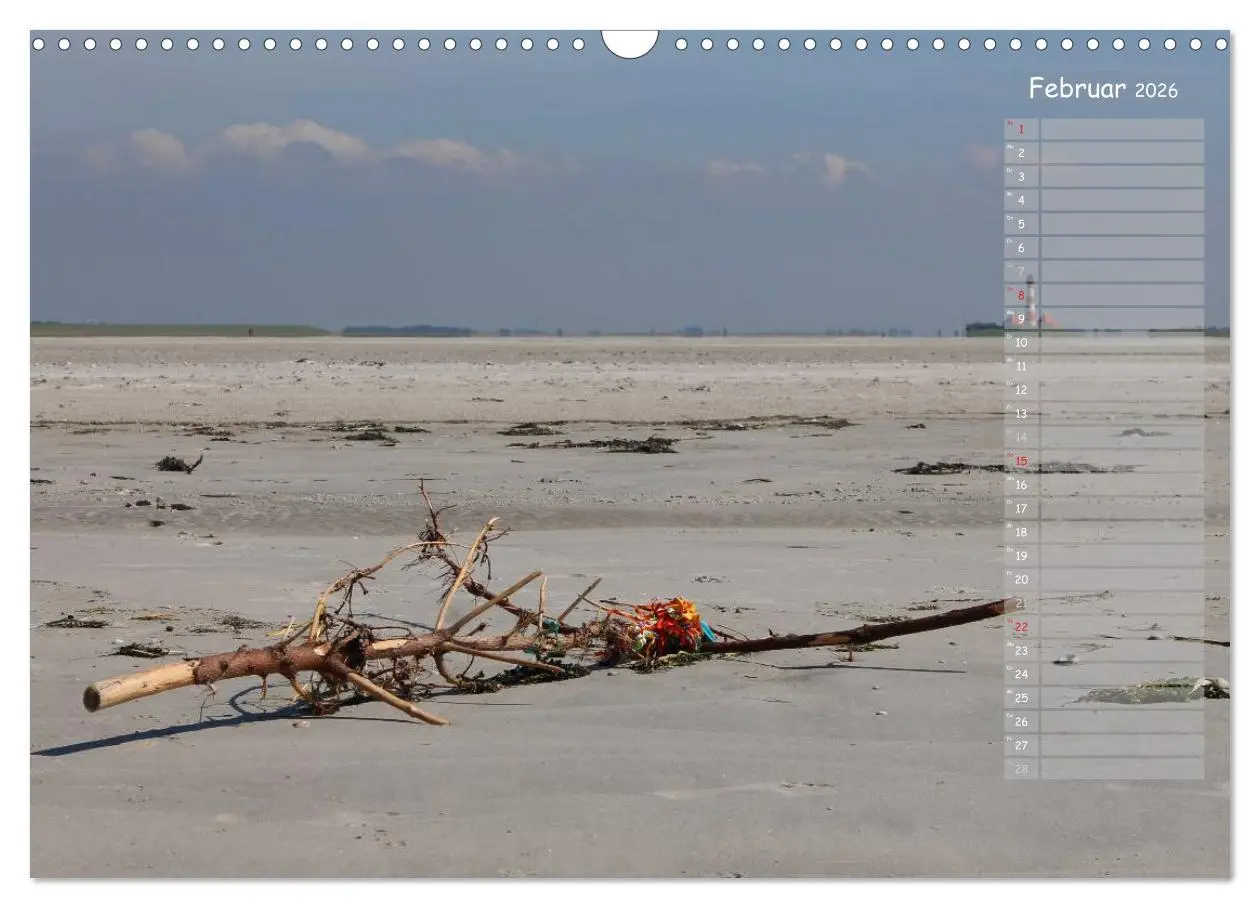 Bild: 9783516180343 | Strandspaziergang / Geburtstagskalender (Wandkalender 2026 DIN A3...