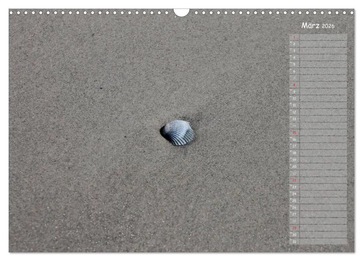 Bild: 9783516180343 | Strandspaziergang / Geburtstagskalender (Wandkalender 2026 DIN A3...