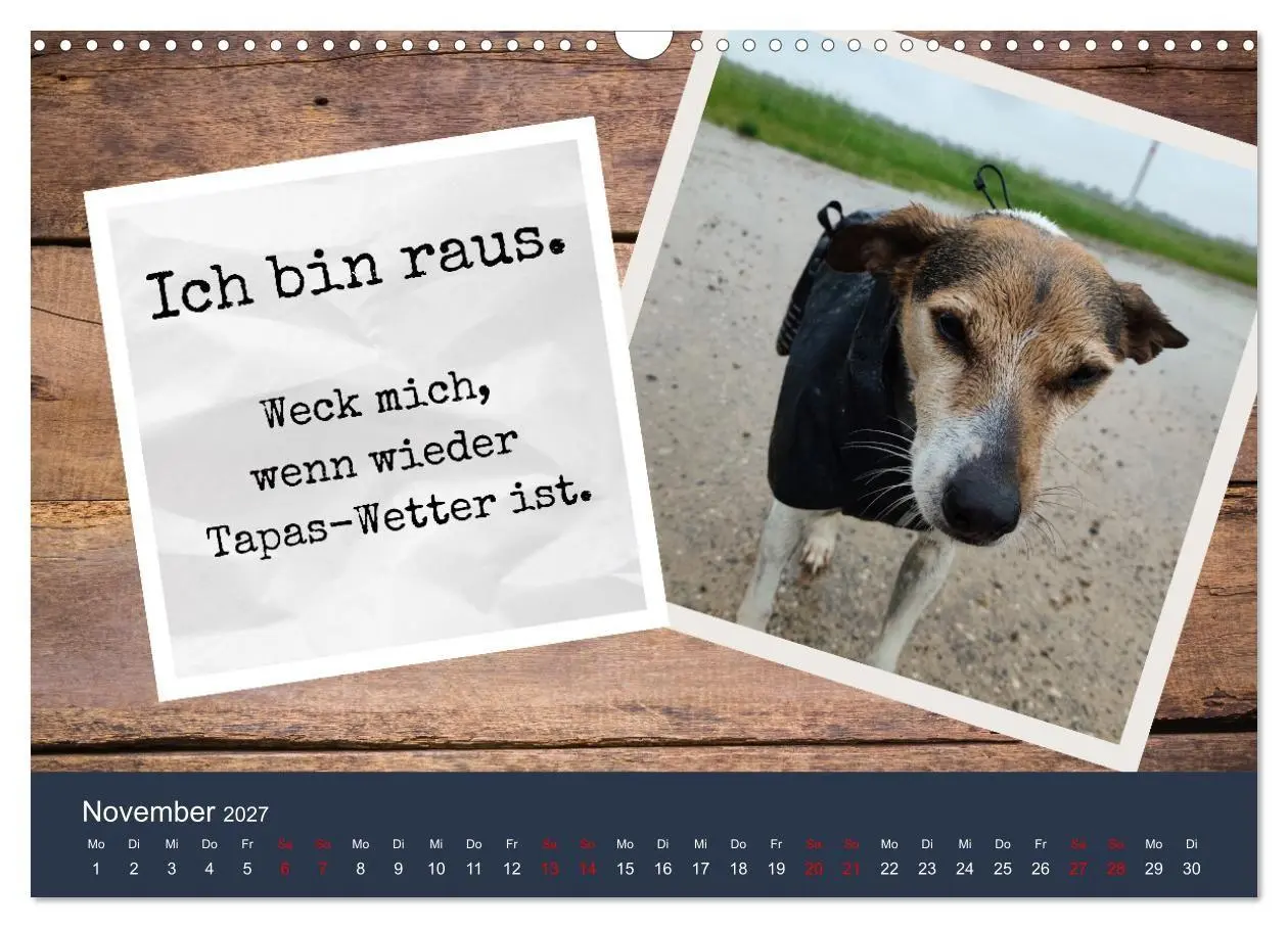 Bild: 9783569410343 | Ratonero Bodeguero Andaluz (Wandkalender 2027 DIN A3 quer),...