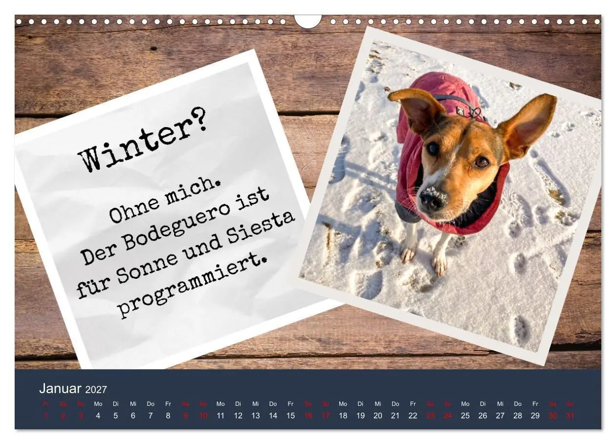 Bild: 9783569410343 | Ratonero Bodeguero Andaluz (Wandkalender 2027 DIN A3 quer),...