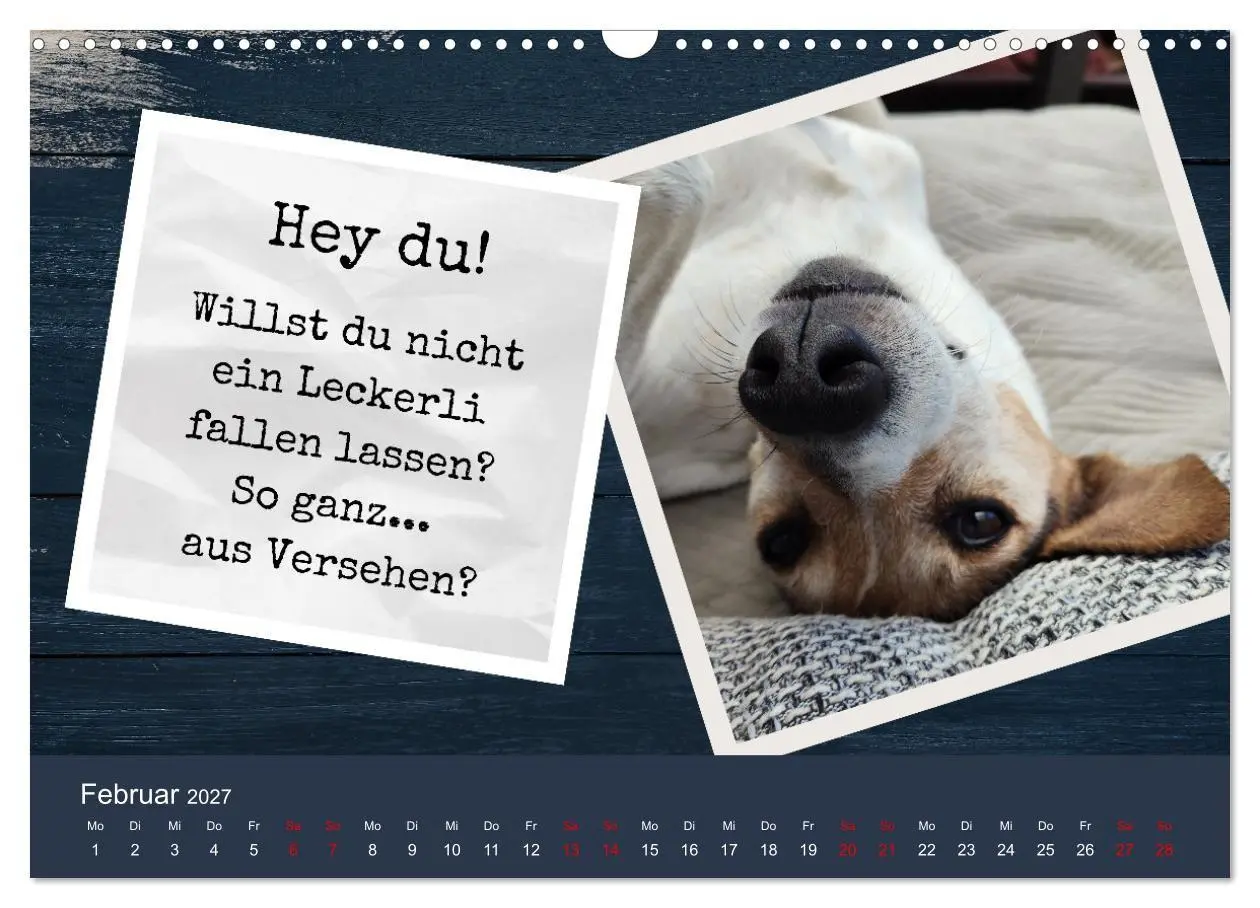 Bild: 9783569410343 | Ratonero Bodeguero Andaluz (Wandkalender 2027 DIN A3 quer),...