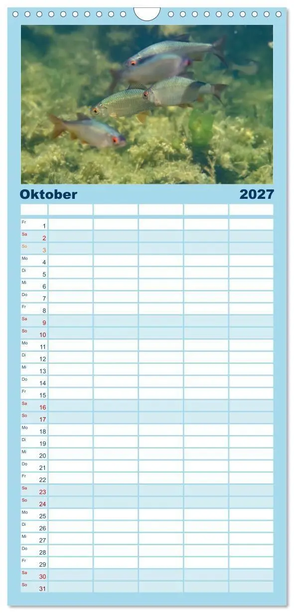 Bild: 9783594300343 | Familienplaner 2027 - Faszination Fische mit 5 Spalten...