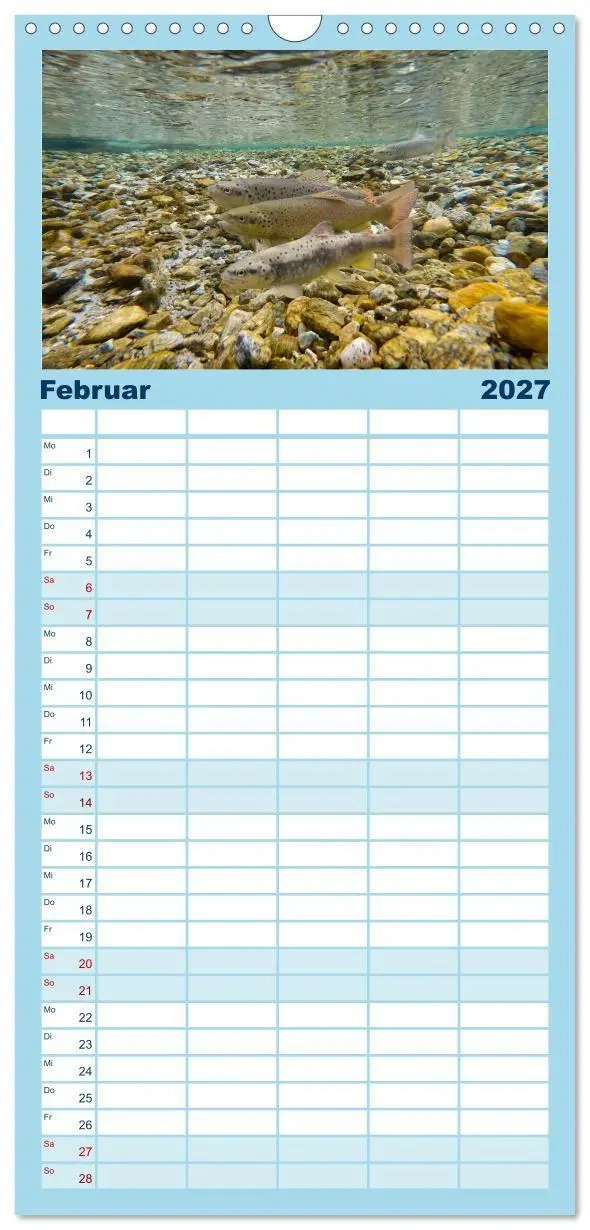 Bild: 9783594300343 | Familienplaner 2027 - Faszination Fische mit 5 Spalten...