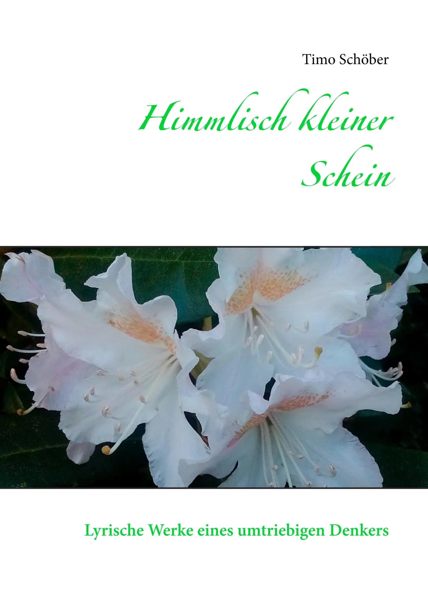 Cover: 9783746000343 | Himmlisch kleiner Schein | Lyrische Werke eines umtriebigen Denkers