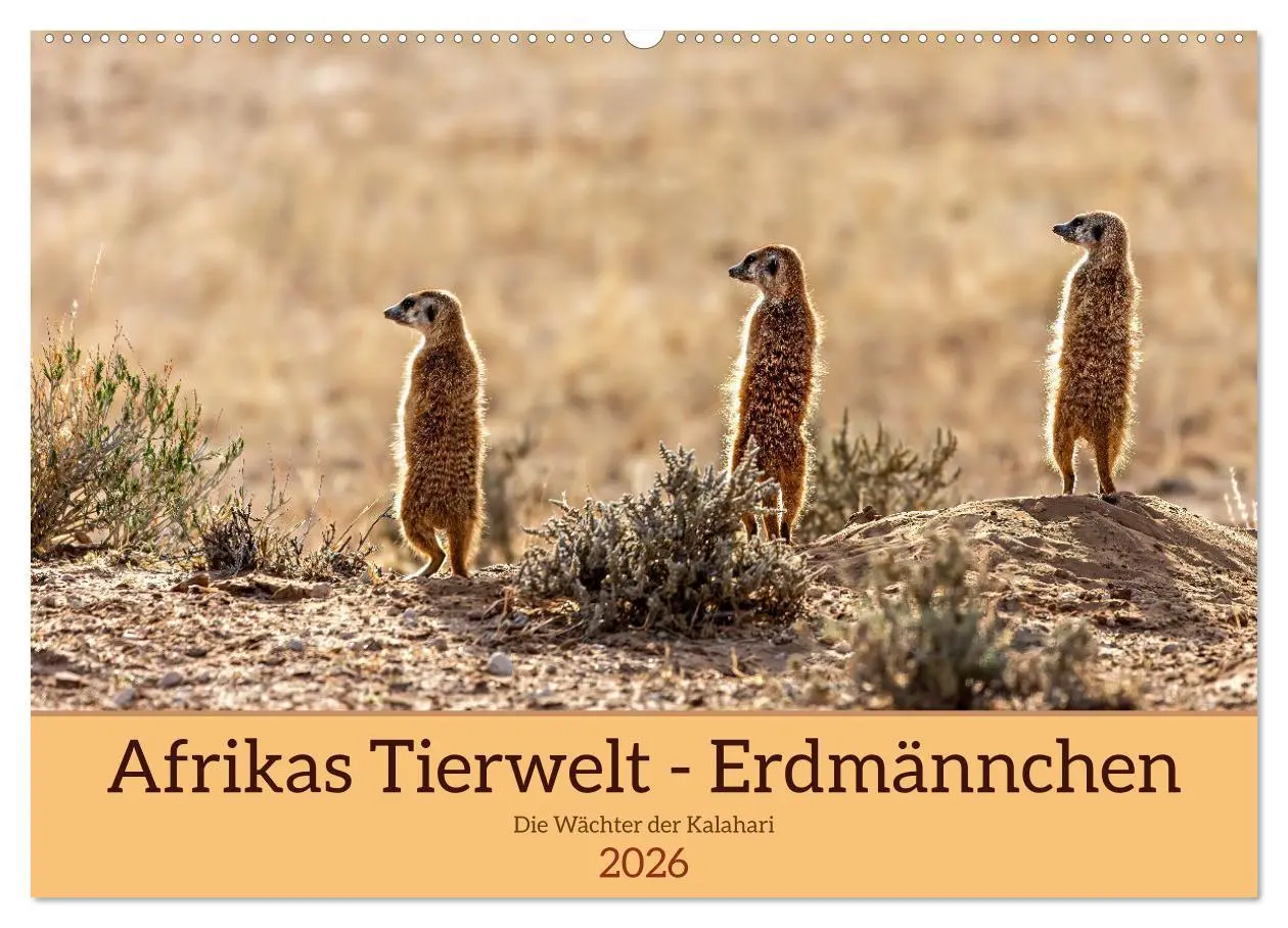 Cover: 9783457460443 | Afrikas Tierwelt - Erdmännchen (Wandkalender 2026 DIN A2 quer),...