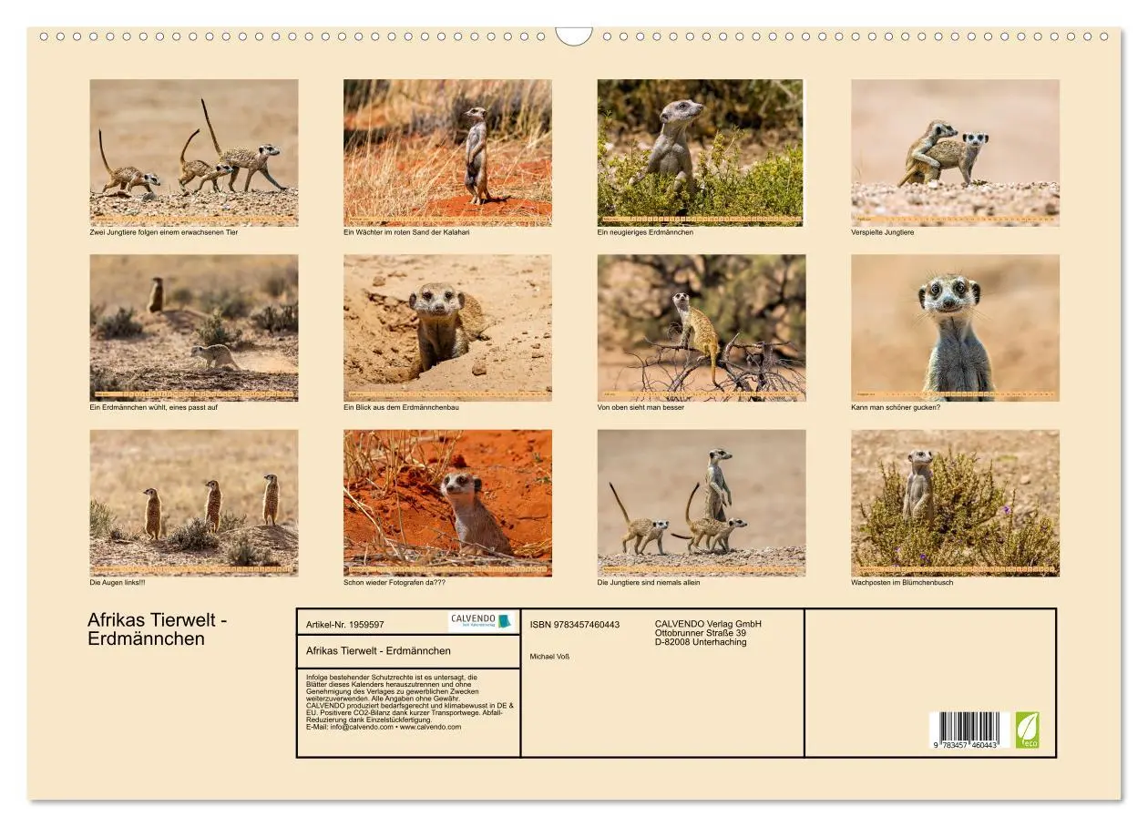 Bild: 9783457460443 | Afrikas Tierwelt - Erdmännchen (Wandkalender 2026 DIN A2 quer),...