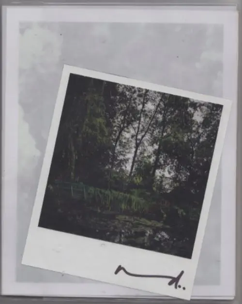 Cover: 9783864420443 | Darren Almond: The Giverny Polaroids | Darren Almond | Taschenbuch