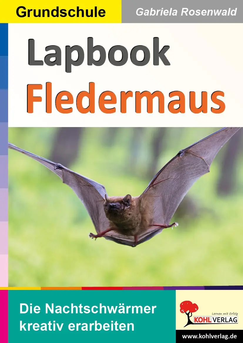Cover: 9783988410443 | Lapbook Fledermaus | Die Nachtschwärmer kreativ erarbeiten | Rosenwald