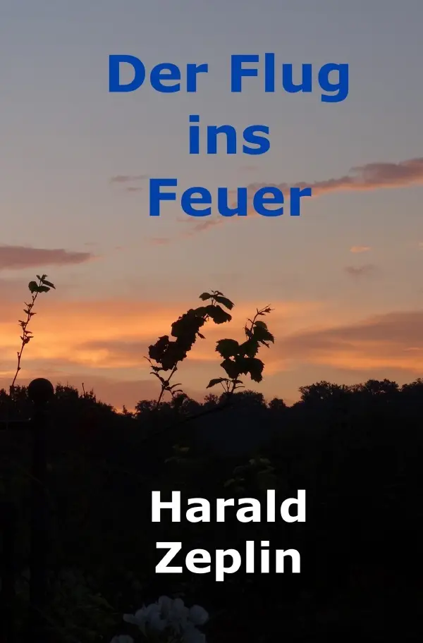 Cover: 9783819030543 | Der Flug ins Feuer | Dokunovel. DE | Harald Zeplin | Taschenbuch