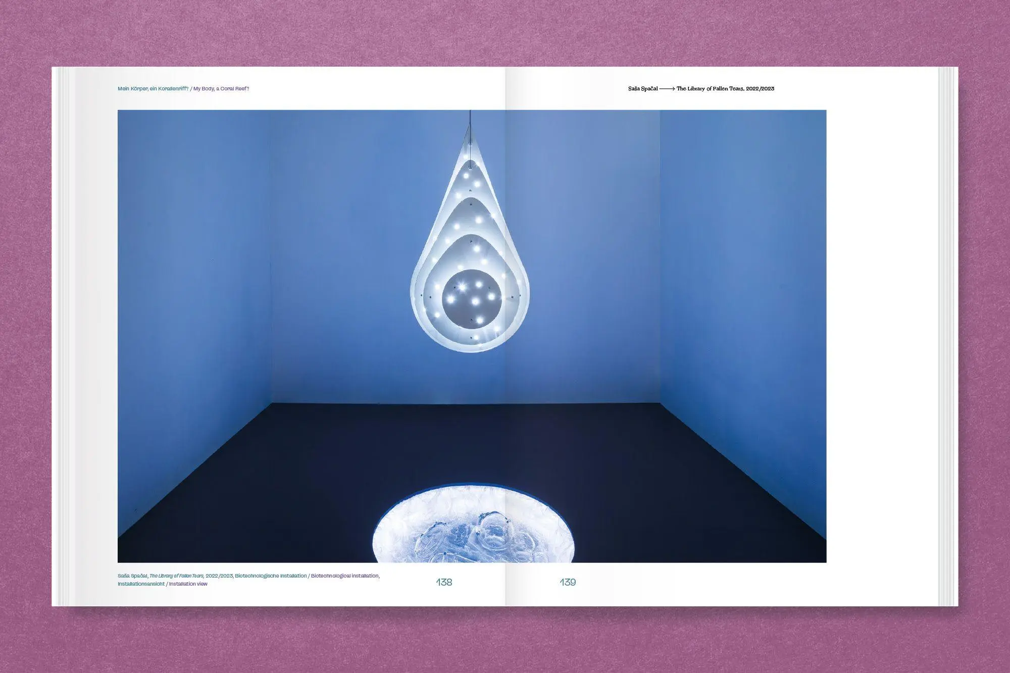 Bild: 9783987410543 | Mein Körper, ein Korallenriff? | My Body, a Coral Reef? | Buch | 2025