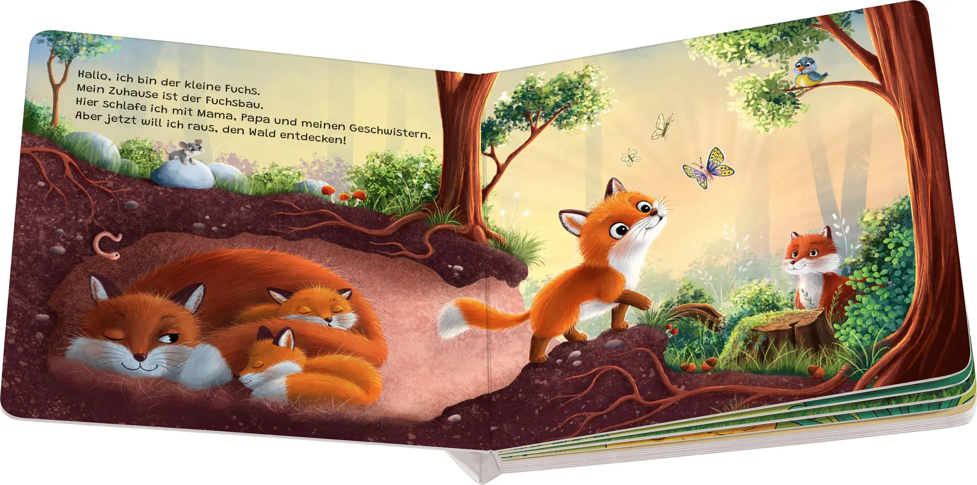 Bild: 9783473420643 | "Hallo, hier bin ich!", ruft der kleine Fuchs | Sabine Praml | Buch