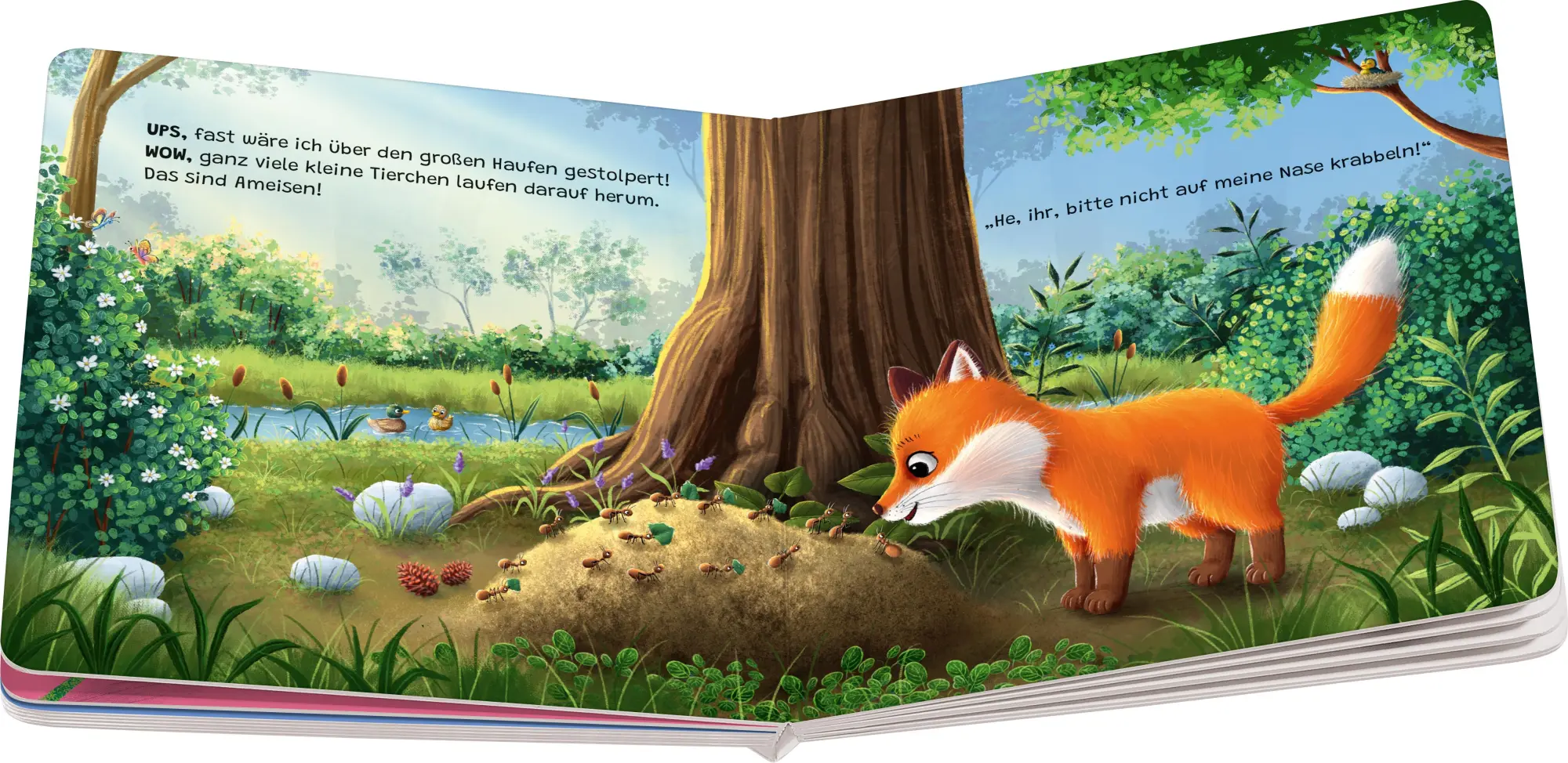 Bild: 9783473420643 | "Hallo, hier bin ich!", ruft der kleine Fuchs | Sabine Praml | Buch