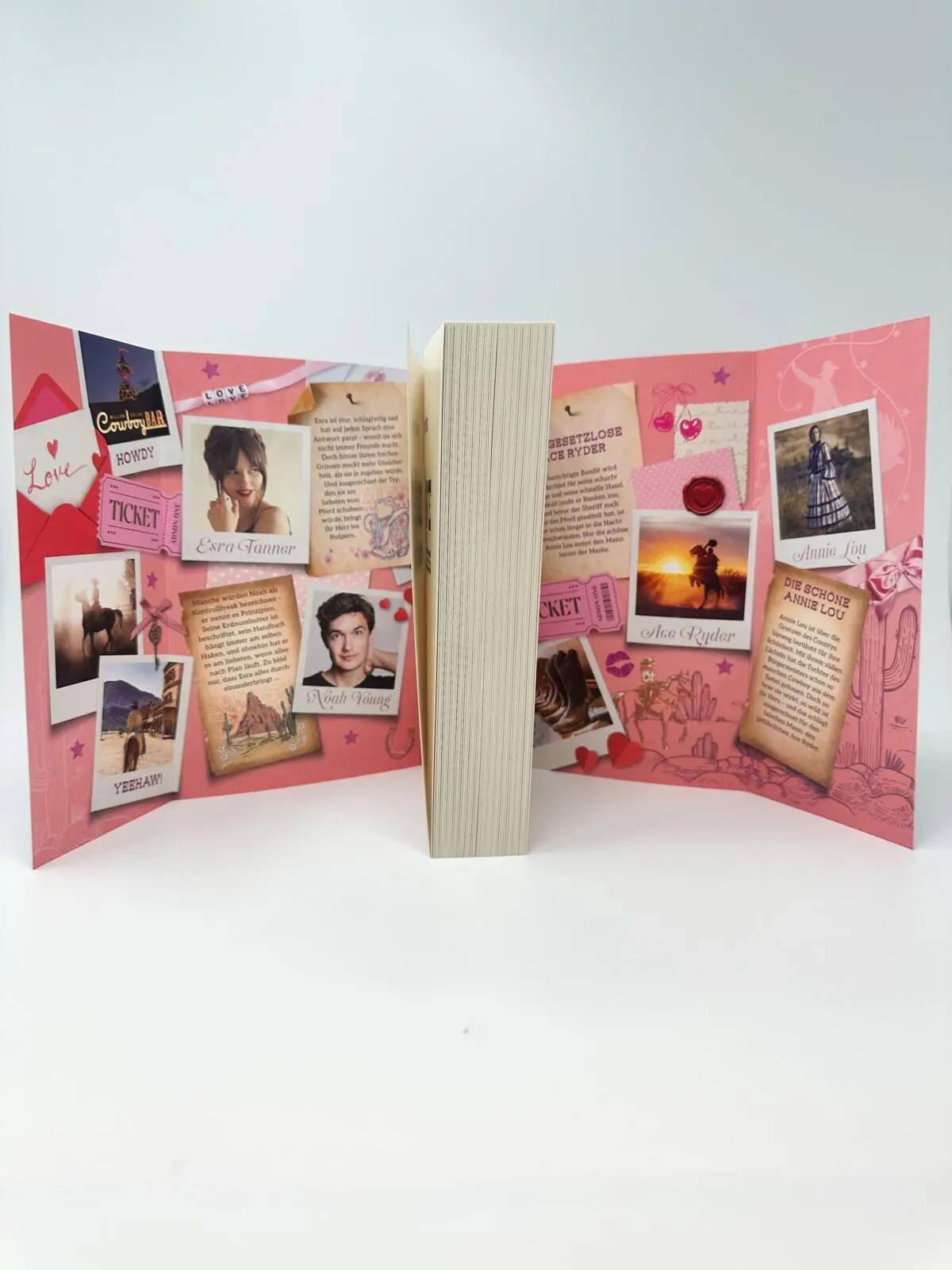 Bild: 9783989780743 | The Brave and the Reckless | Dilan Dyer | Taschenbuch | 464 S. | 2026