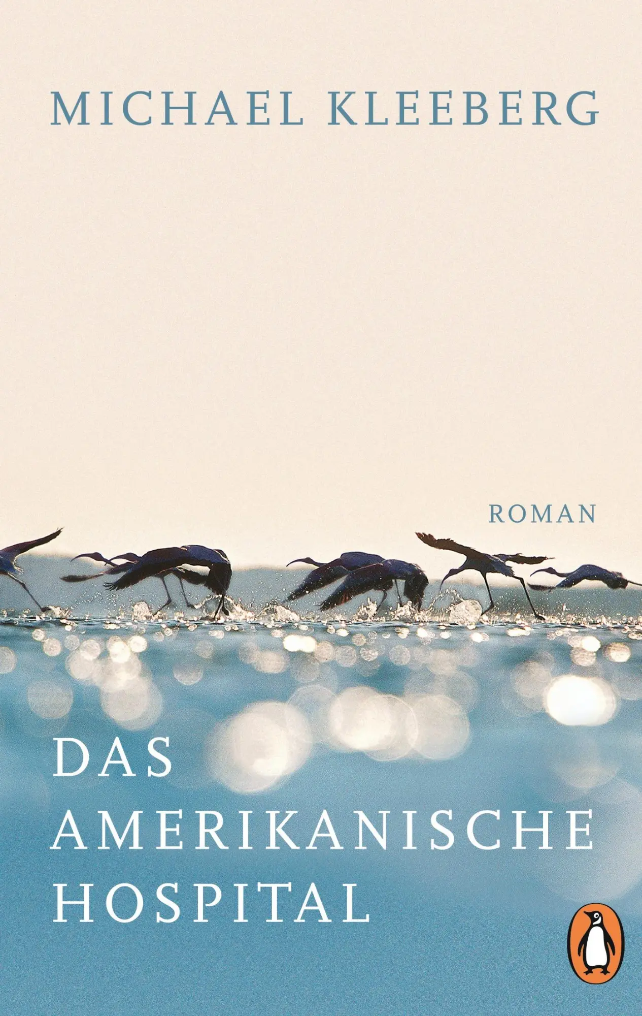 Cover: 9783328100843 | Das amerikanische Hospital | Michael Kleeberg | Taschenbuch | 232 S.