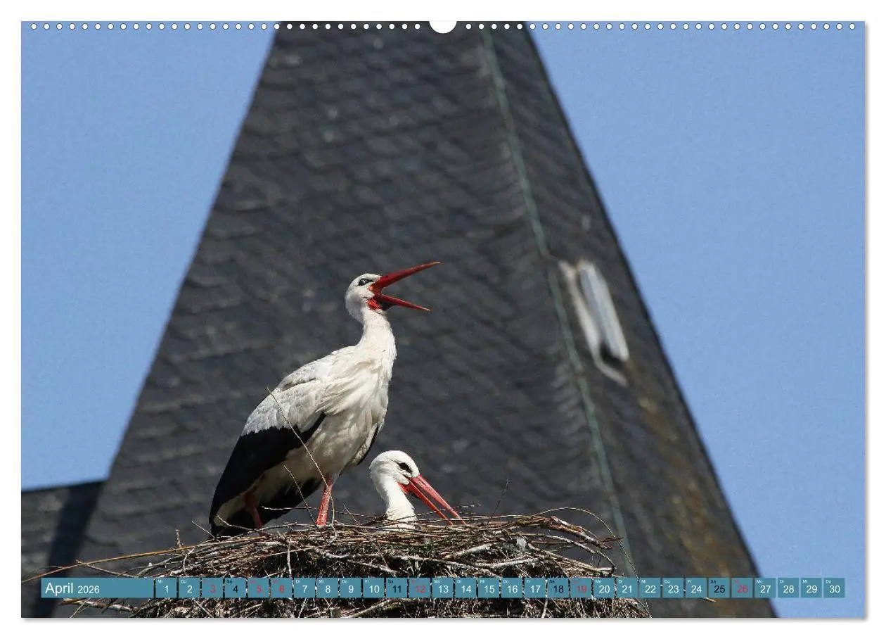 Bild: 9783457730843 | Hannoversches Wendland Verträumtes Landleben (Wandkalender 2026 DIN...