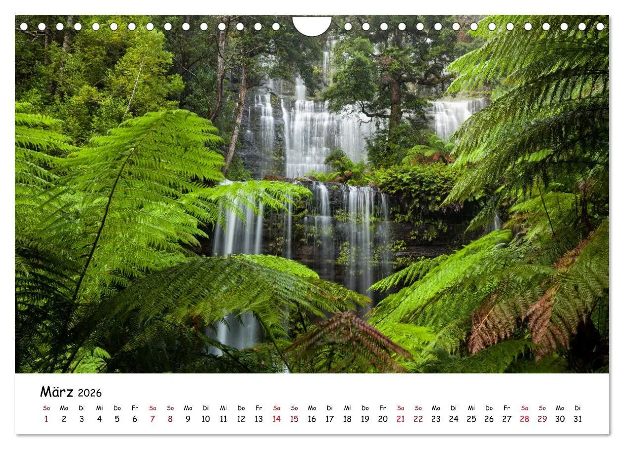 Bild: 9783457800843 | Australiens Schönheit (Wandkalender 2026 DIN A4 quer), CALVENDO...