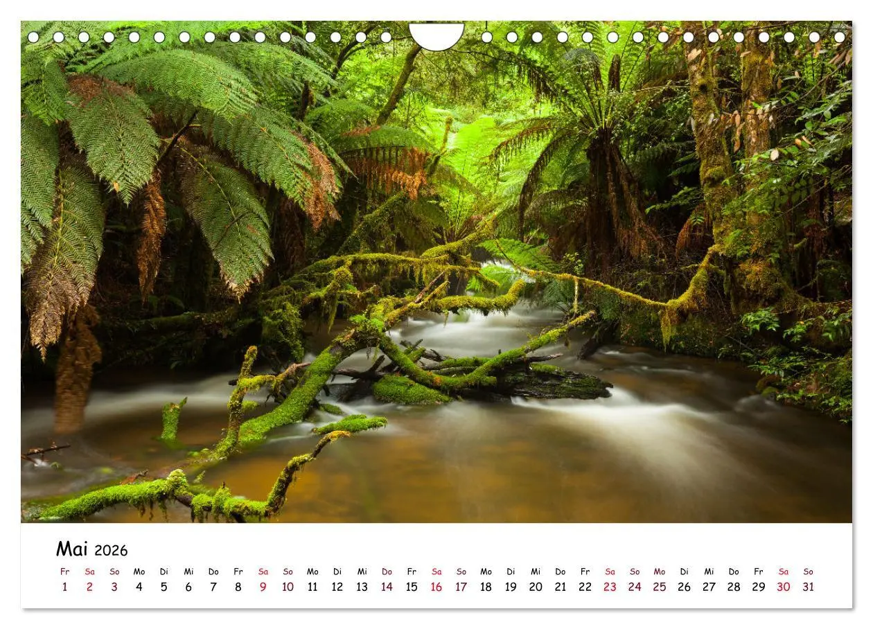 Bild: 9783457800843 | Australiens Schönheit (Wandkalender 2026 DIN A4 quer), CALVENDO...