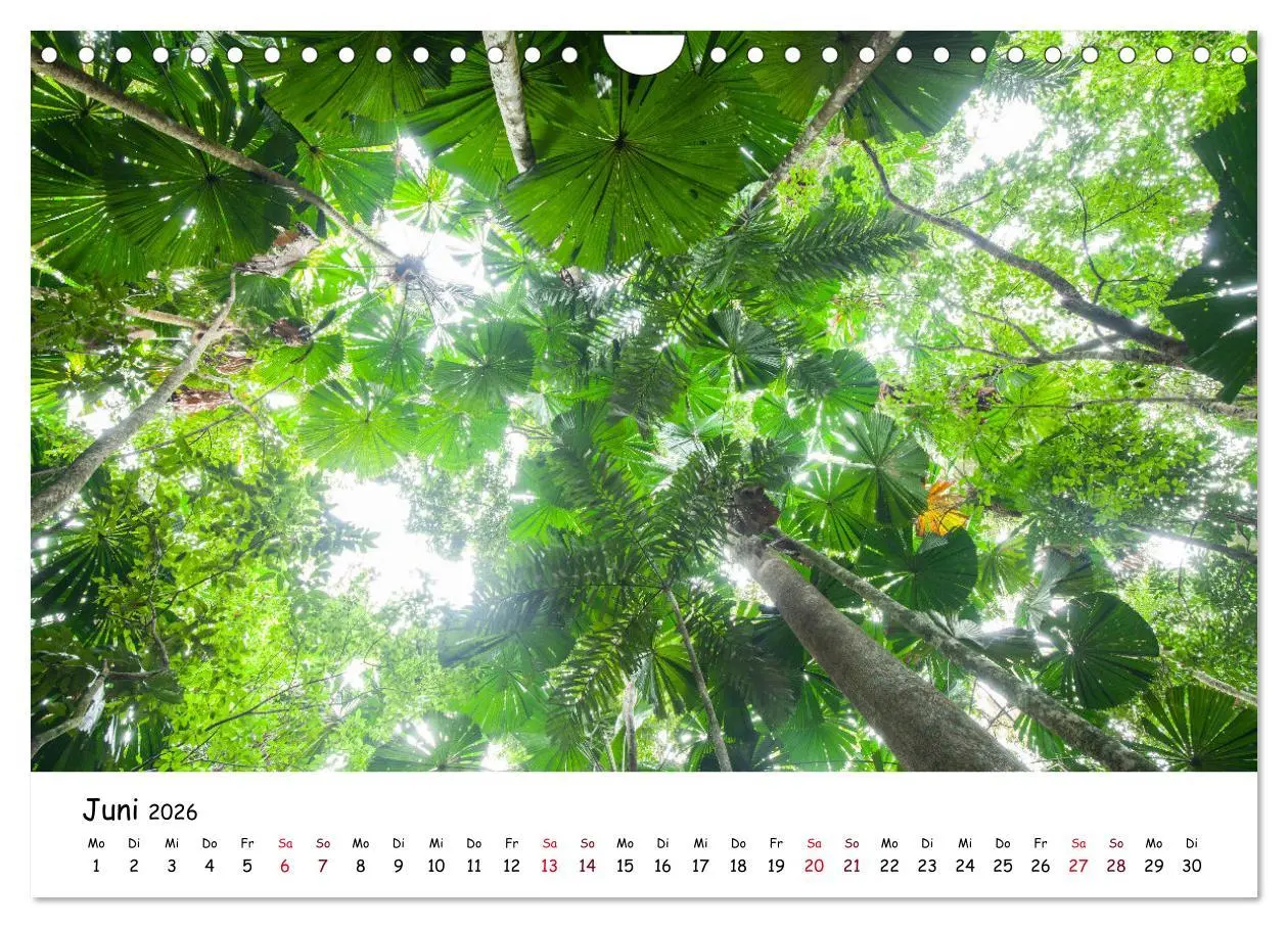 Bild: 9783457800843 | Australiens Schönheit (Wandkalender 2026 DIN A4 quer), CALVENDO...