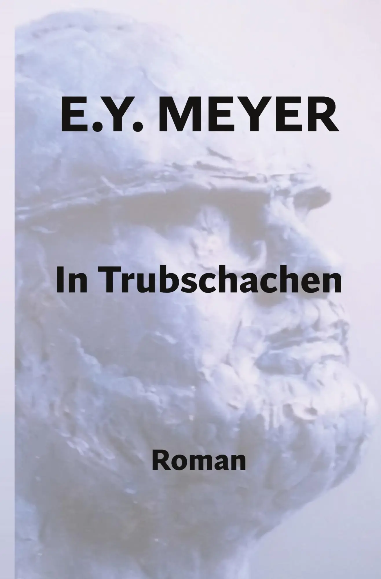 Cover: 9783757940843 | In Trubschachen | E. Y. Meyer | Buch | 272 S. | Deutsch | 2023