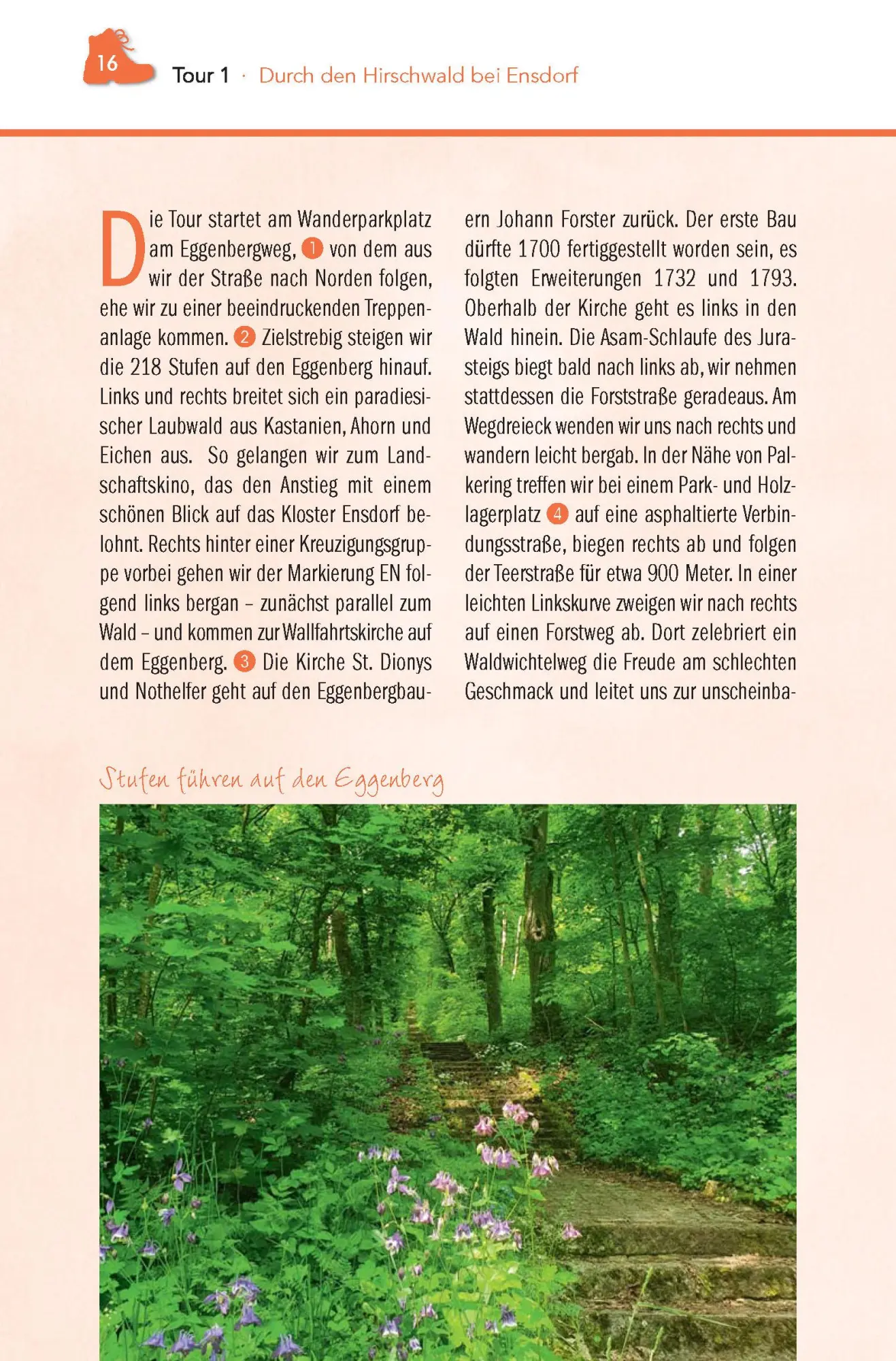 Bild: 9783955870843 | Wanderführer Hirschwald | Hubert Zaremba | Taschenbuch | 128 S. | 2022